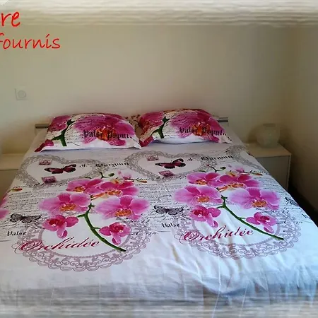 La Maison Des Oiseaux Hébergement de vacances Eu (Seine-Maritime)