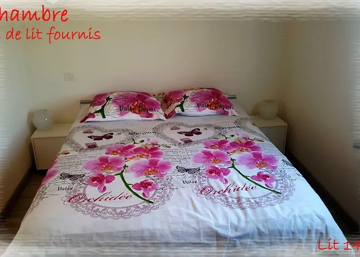 La Maison Des Oiseaux Hébergement de vacances Eu (Seine-Maritime)